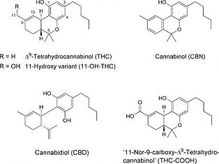 cannabidiol