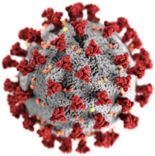 CORONAVIRUS DISEASE